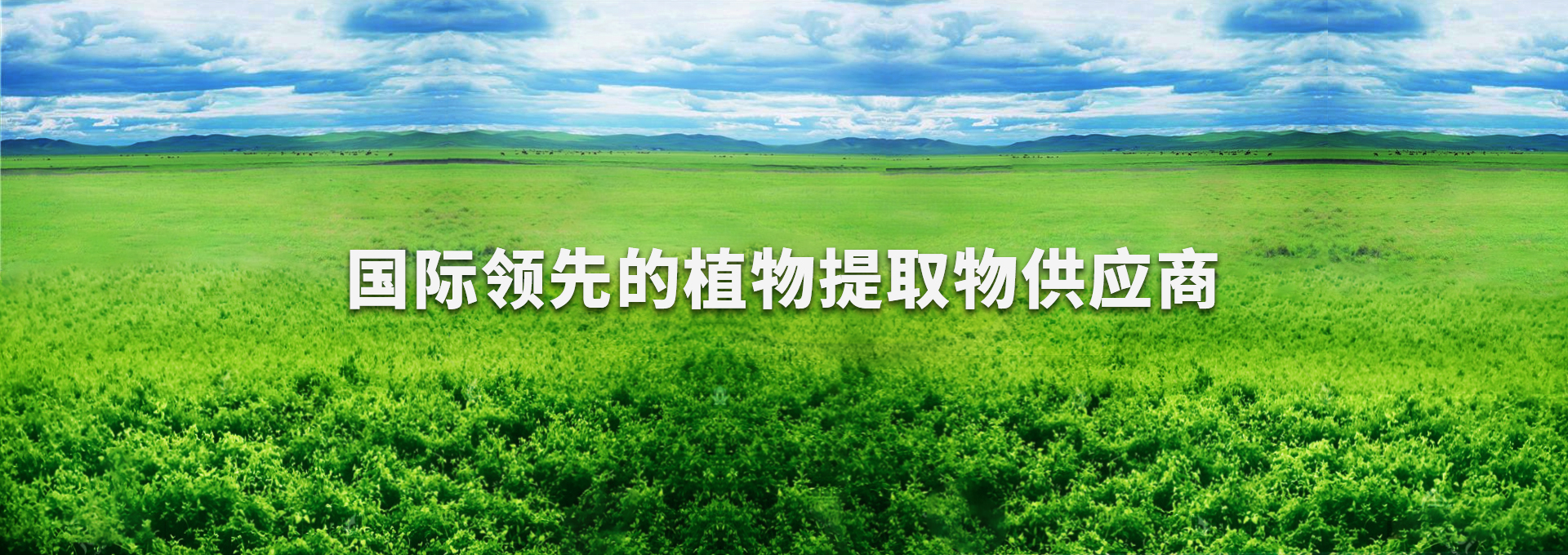 pp电子·(中国)官方网站