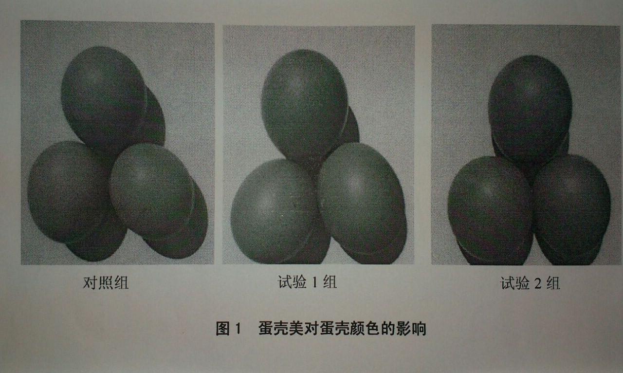 pp电子·(中国)官方网站