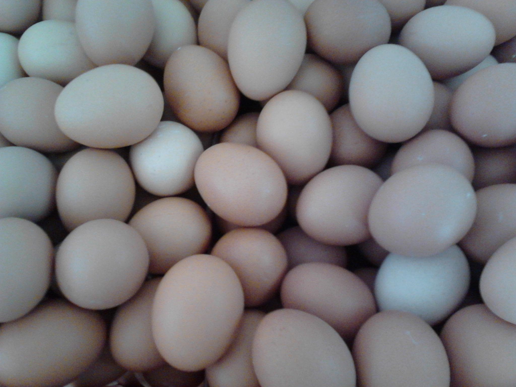 pp电子·(中国)官方网站