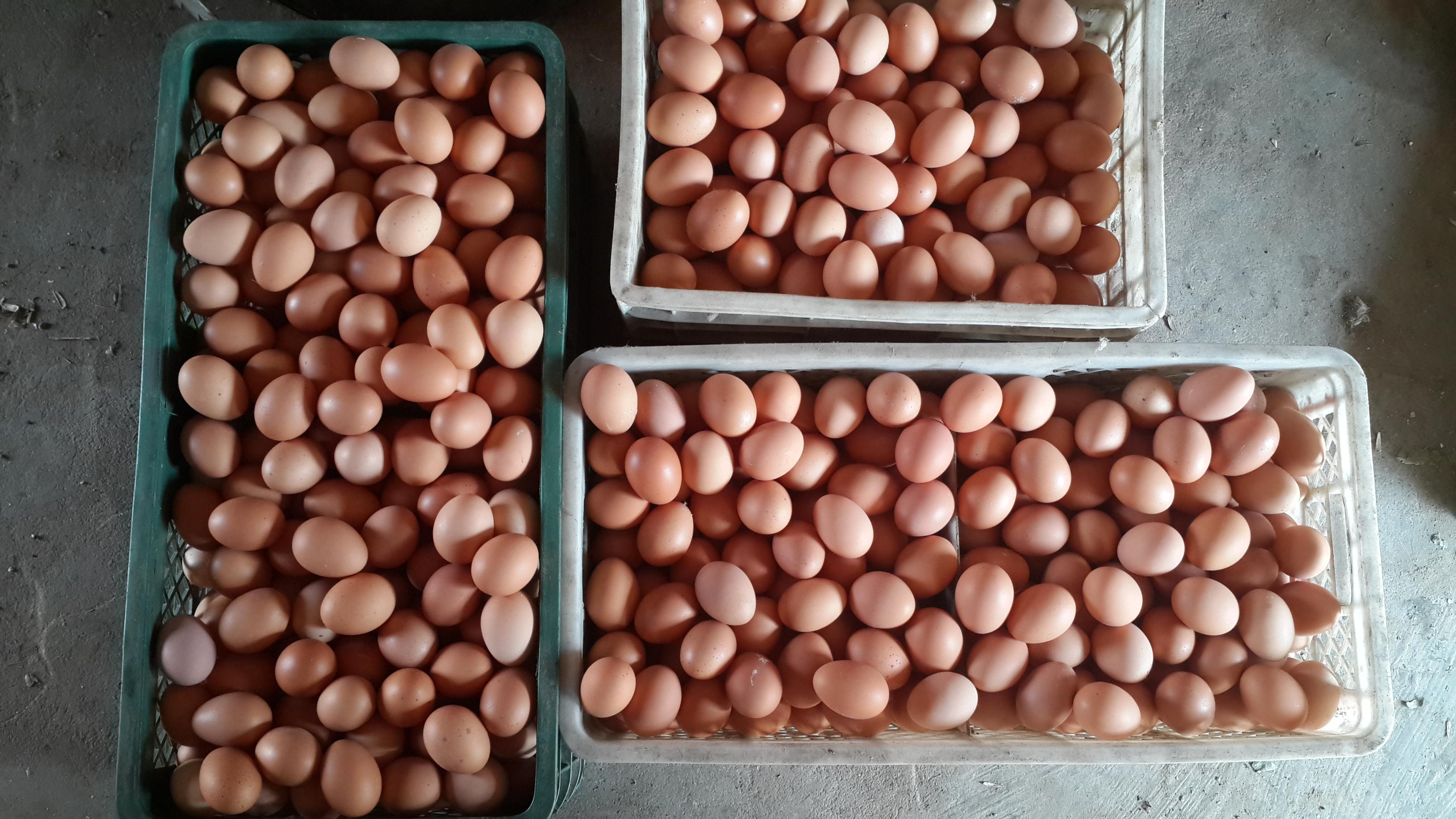 pp电子·(中国)官方网站