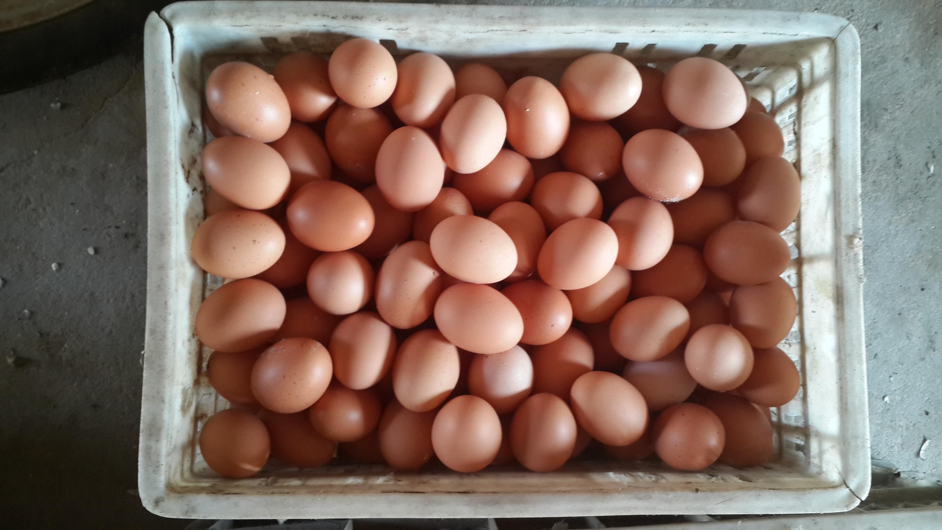 pp电子·(中国)官方网站