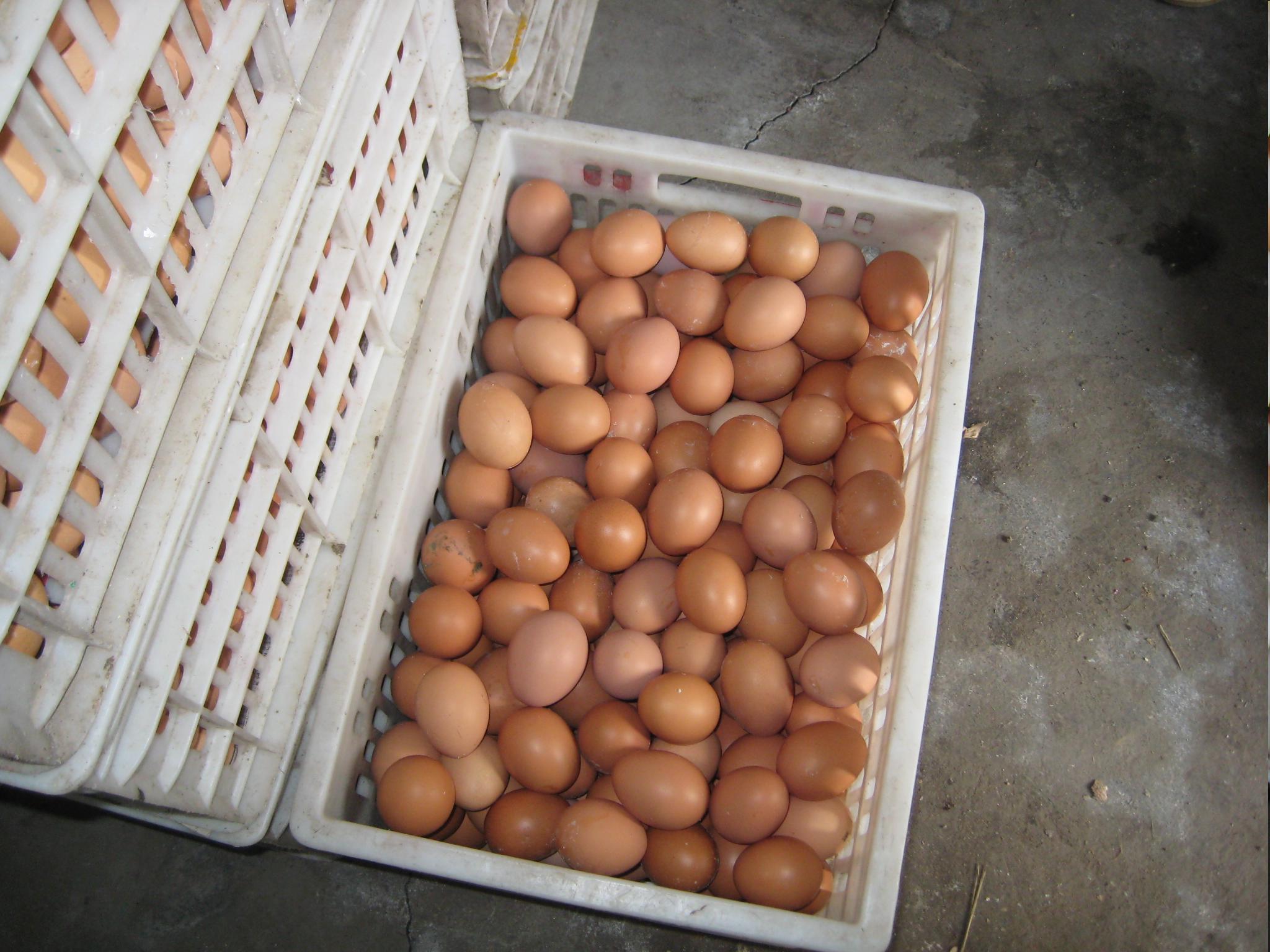 pp电子·(中国)官方网站