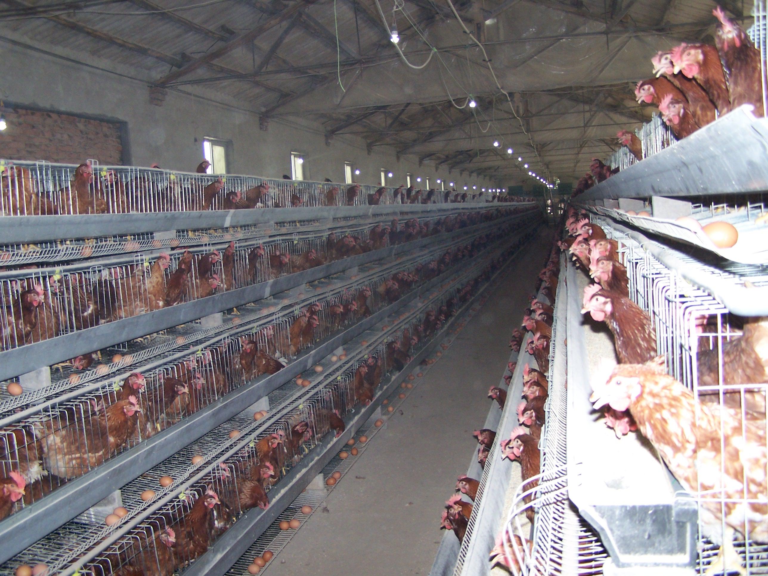 pp电子·(中国)官方网站