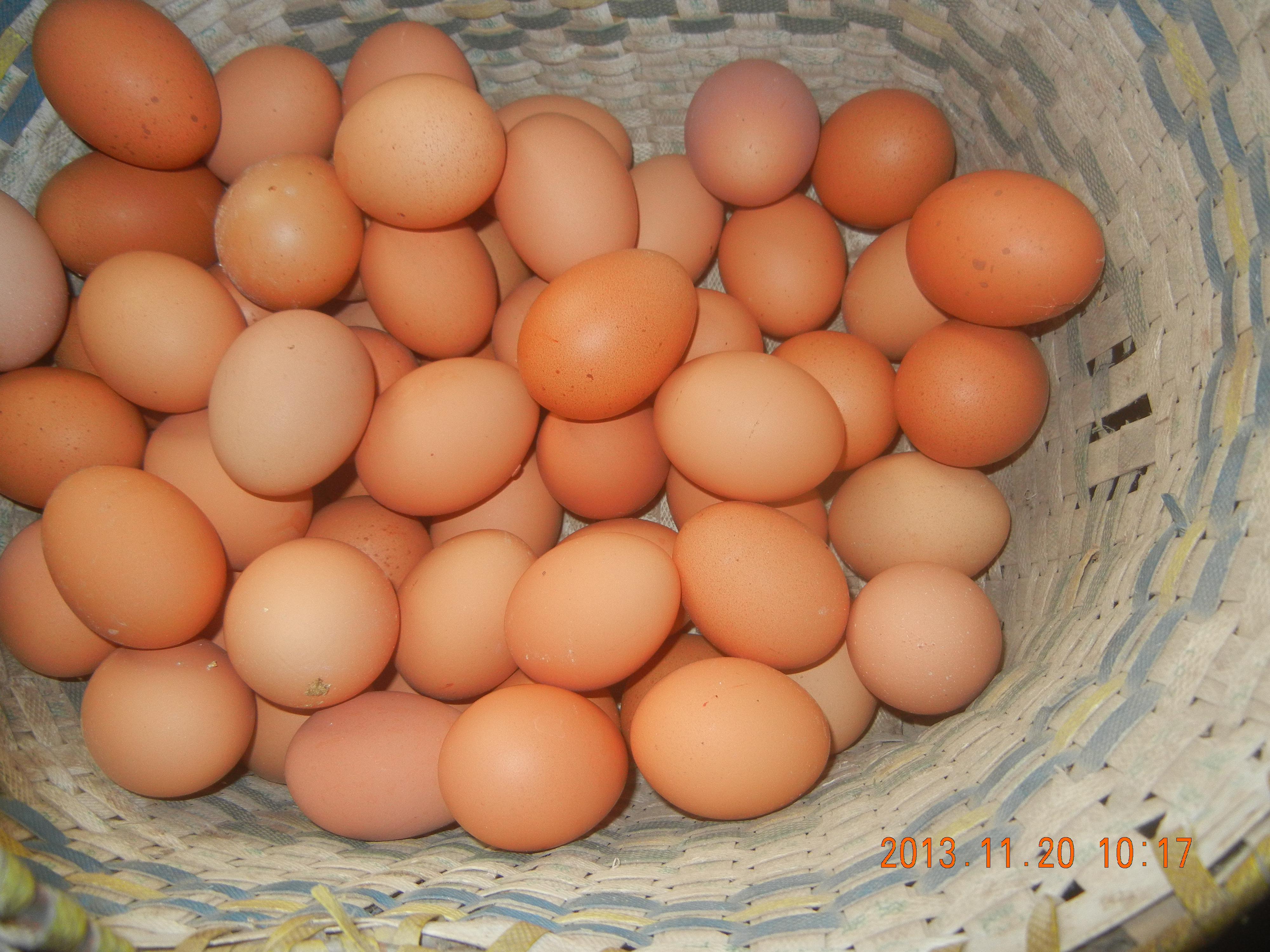 pp电子·(中国)官方网站