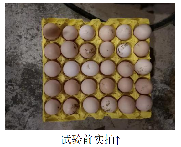 pp电子·(中国)官方网站