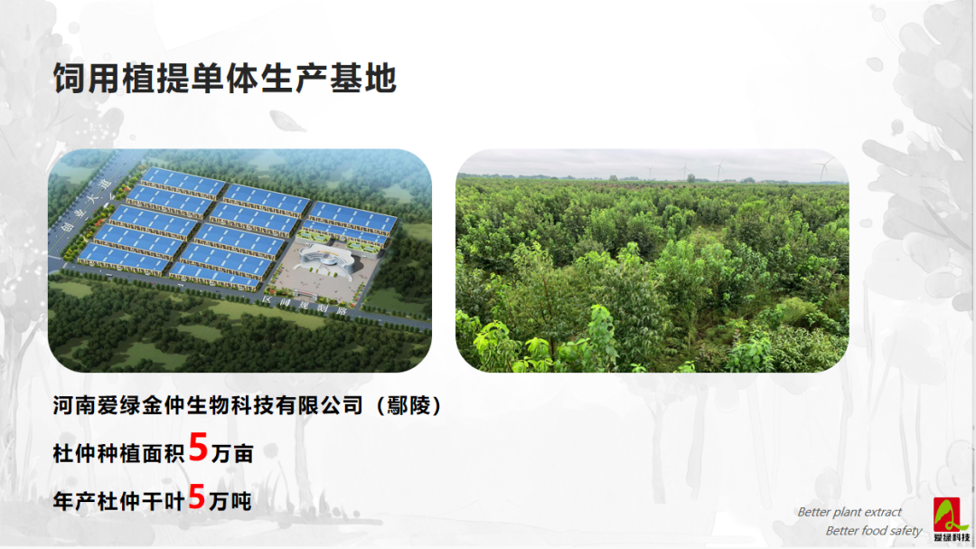 pp电子·(中国)官方网站