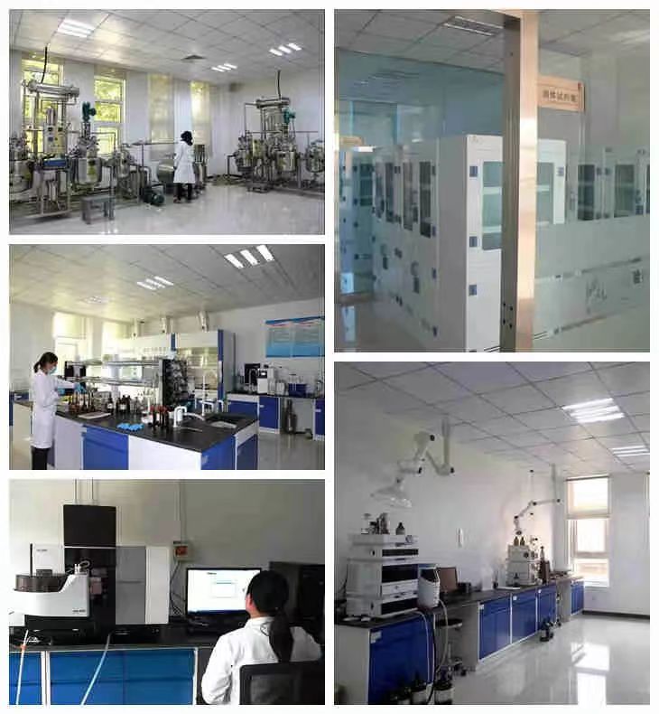 pp电子·(中国)官方网站