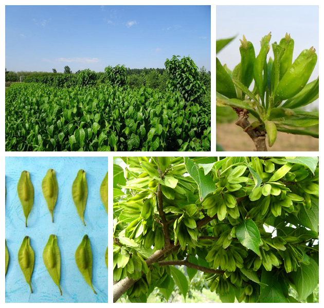 pp电子·(中国)官方网站