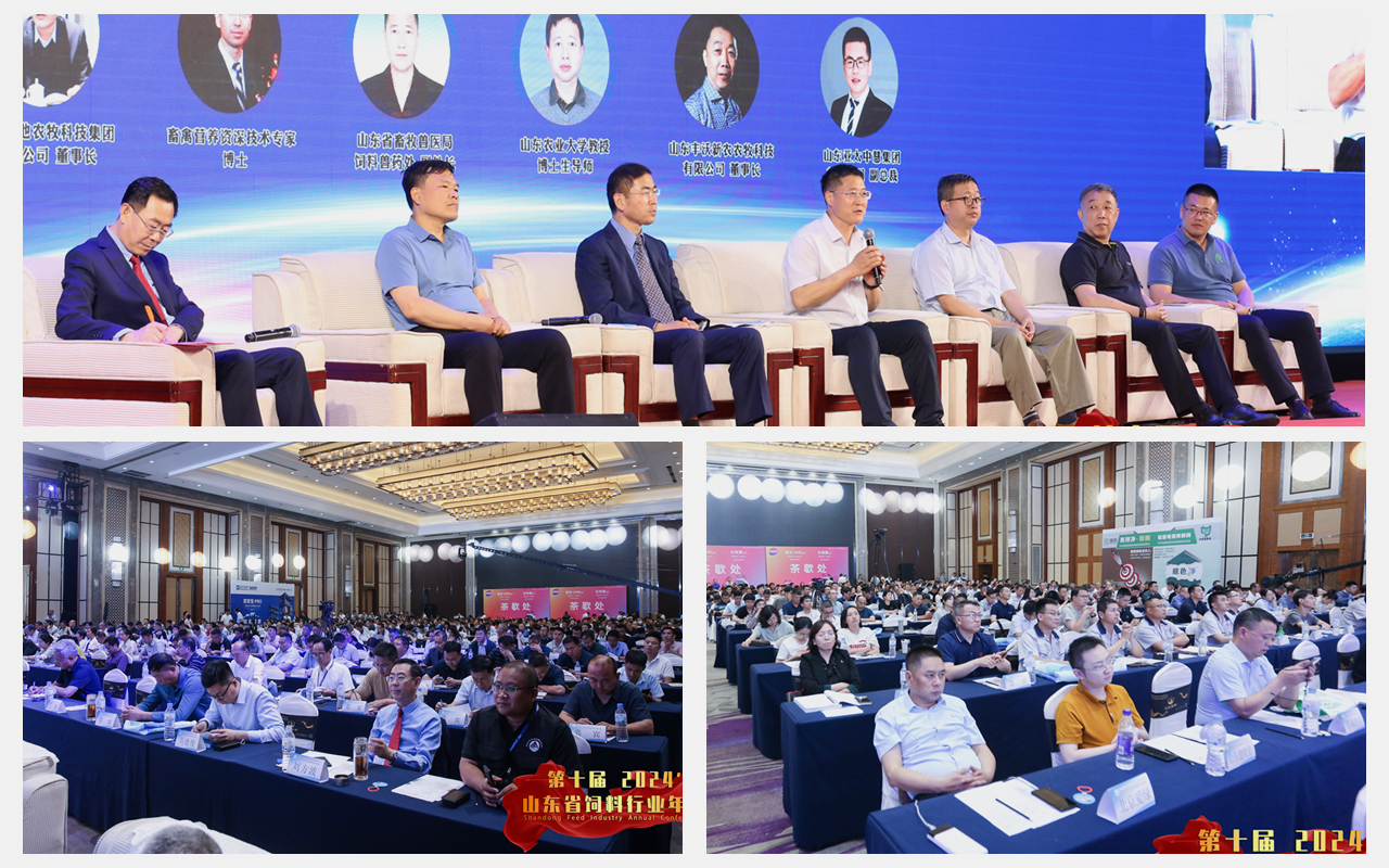 pp电子·(中国)官方网站